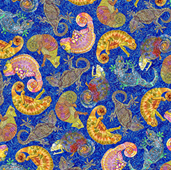 COLORFUL CHAMELEONS      